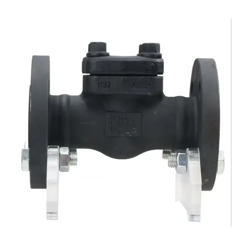 Válvula de retenção de aço forjado